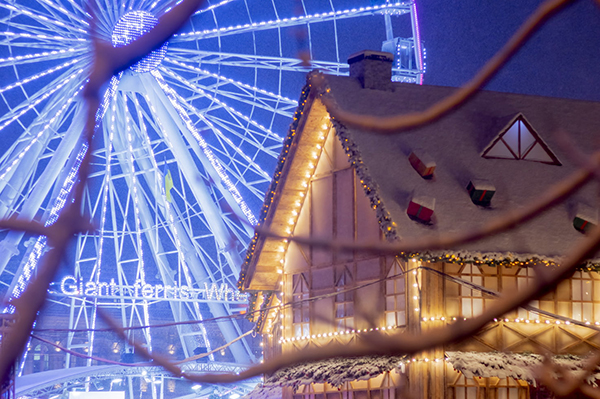 逆境中生存的励志句子